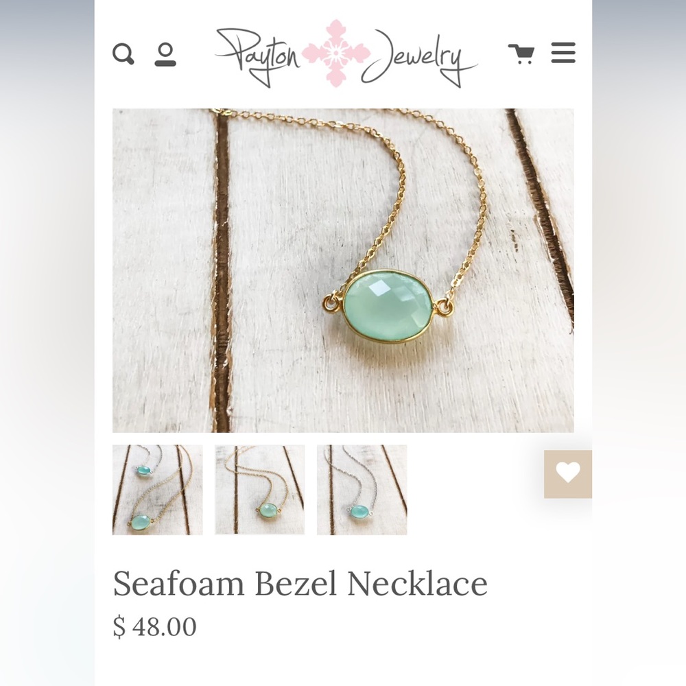 Payton Jewelry Necklace